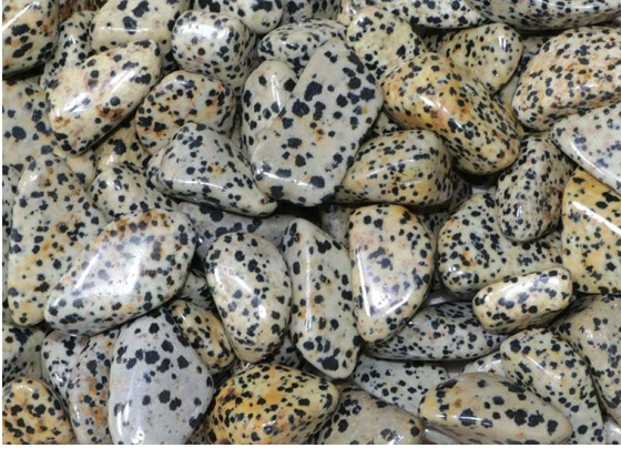 Dalmatian jaspis hiottu